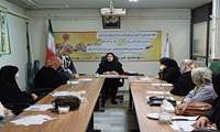 چهارمین دوره آموزش بازتوانی با تدریس دکتر سولماز رهبر در مجمع خیرین سلامت همدان برگزار شد.
